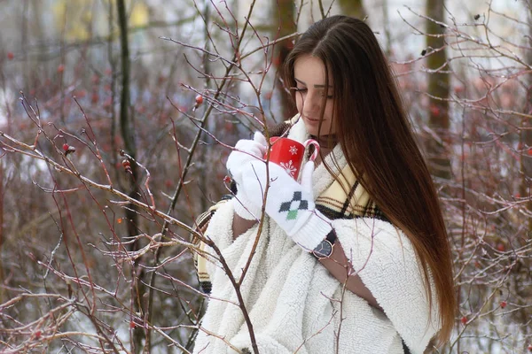 Jovem menina bonita no inverno dia nevado — Fotografia de Stock