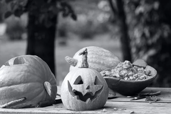 Cabeza tallada de calabaza — Foto de Stock