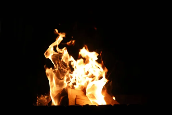 Tungor av eld av avfyrar av orange-gul färg från brinnande fir — Stockfoto