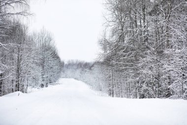 Kış bulutlu günde manzara