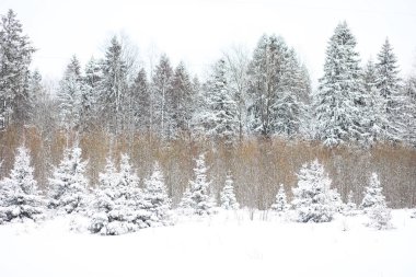 Kış bulutlu günde manzara