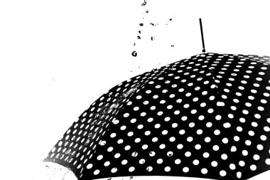 yağmur damla şemsiye izole