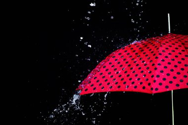 yağmur damla şemsiye izole