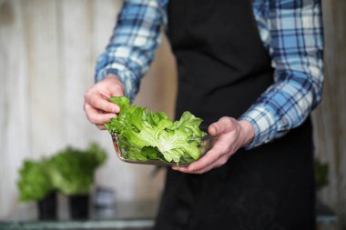 erkekte önlük ve eldiven tutar bir tabak taze yeşil salatası