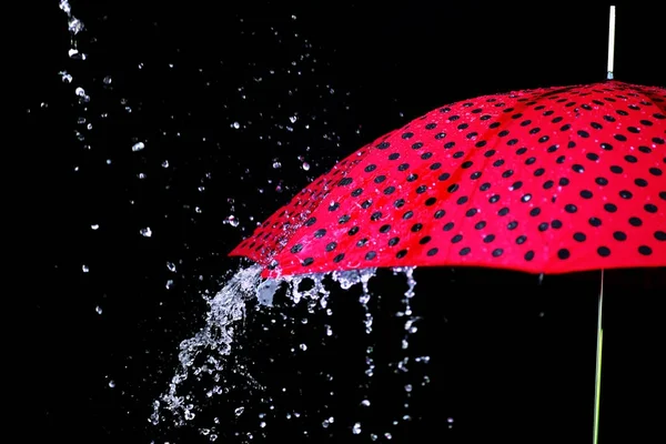 Chuva gota guarda-chuva isolado — Fotografia de Stock