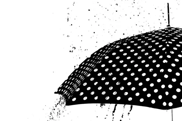 Parapluie goutte isolé — Photo