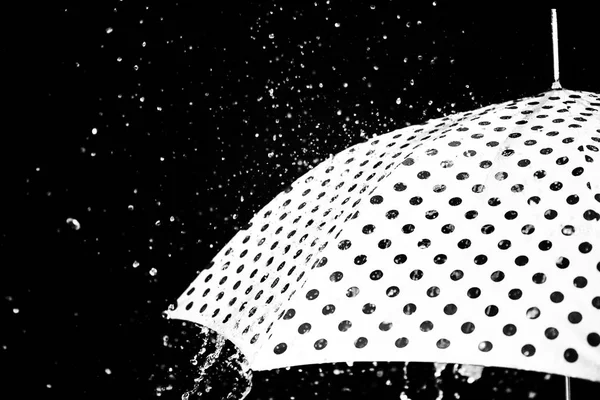 yağmur damla şemsiye izole