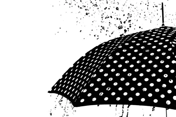 yağmur damla şemsiye izole