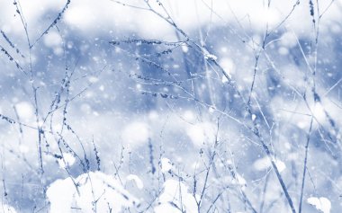 Kış günü manzara