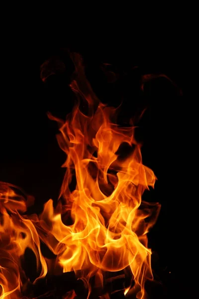 불타는 전나무에서 주황색 노란 색상의 화재의 불꽃의 방언 — 스톡 사진