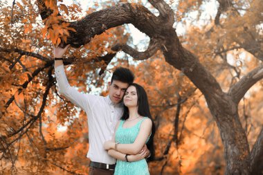 Genç sonbahar Parkta yürümek çift