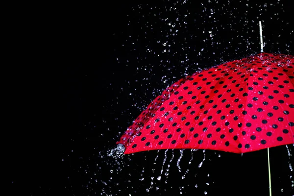 Parapluie goutte isolé — Photo