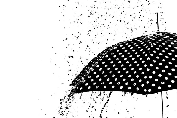 Regenschirm isoliert — Stockfoto