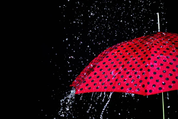 Зонт для дождя изолирован — стоковое фото