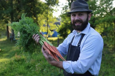 havuç hasat bir elinde tutan bahçıvan adam