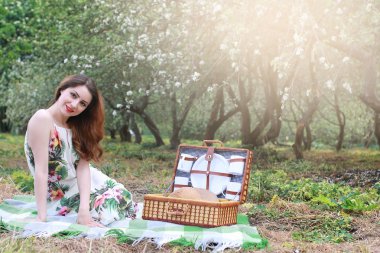 Elma bahçesinde bir piknikte bir sepet ürünle