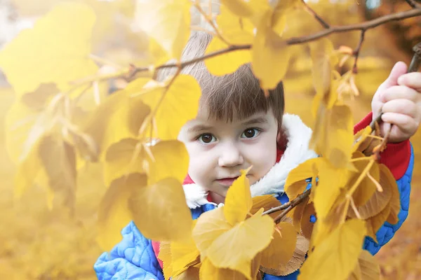 Маленька дівчинка позує на камеру, що йде в осінньому парку — стокове фото