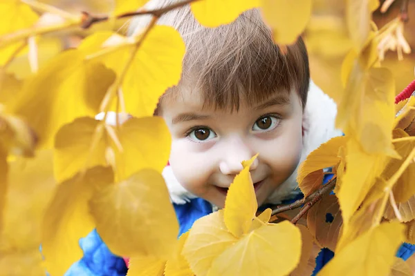 Маленька дівчинка позує на камеру, що йде в осінньому парку — стокове фото