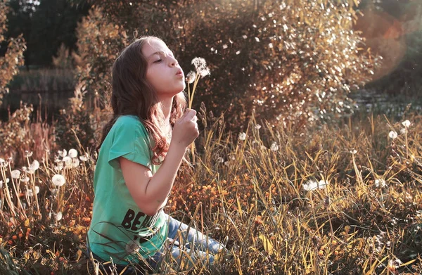 Dívka foukání z květina Pampeliška semena na podzim — Stock fotografie