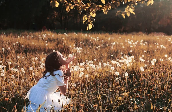 Ragazza che soffia semi da un dente di leone di fiore in autunno — Foto Stock