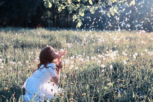 Teen flicka blåser frön från en blomma maskros i vår park — Stockfoto