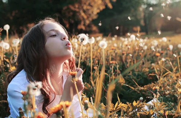 Dívka foukání z květina Pampeliška semena na podzim — Stock fotografie