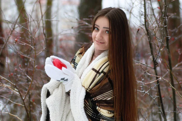 Jovem menina bonita no inverno dia nevado — Fotografia de Stock