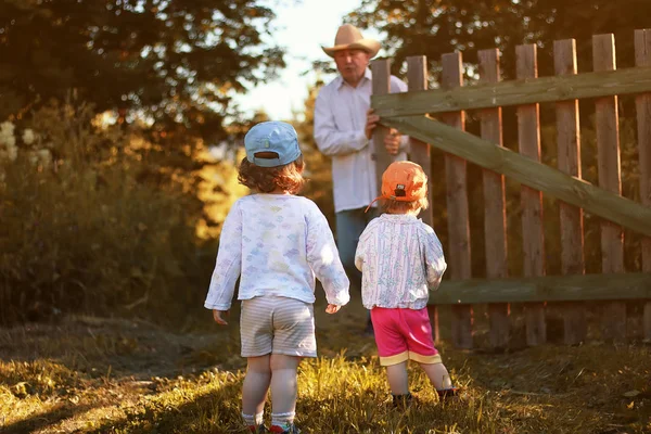 Діти ходять з дідом влітку — стокове фото