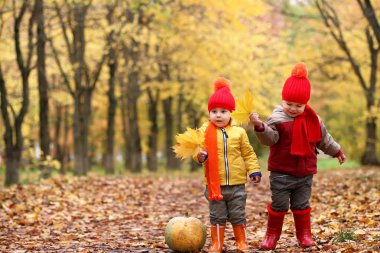 sonbahar park kabak ile çocuklarda