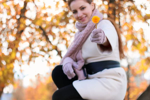 Chica en un parque llevar una bufanda otoño — Foto de Stock