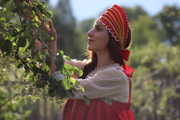 Słowianin w tradycyjnym stroju gromadzi zbiory jabłek — Zdjęcie stockowe