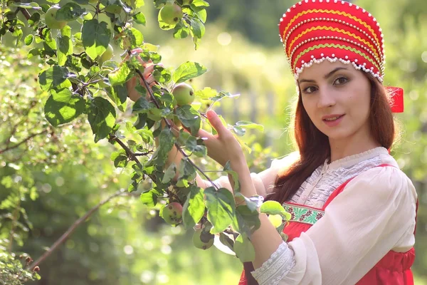 Славянин в традиционной одежде собирает урожай яблок — стоковое фото