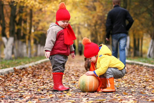 Enfants dans le parc d'automne avec citrouille — Photo