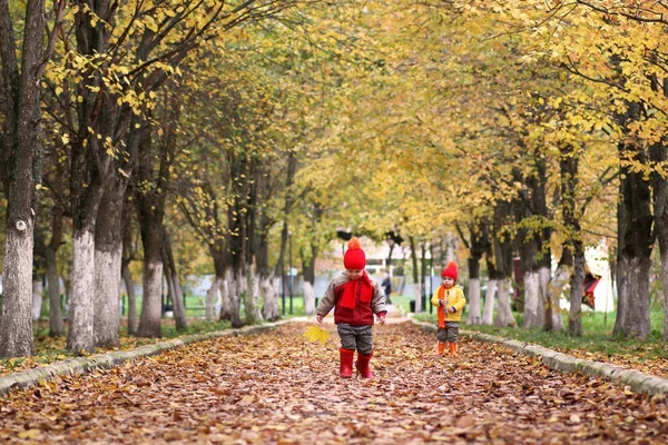 Crianças no parque de outono com abóbora — Fotografia de Stock