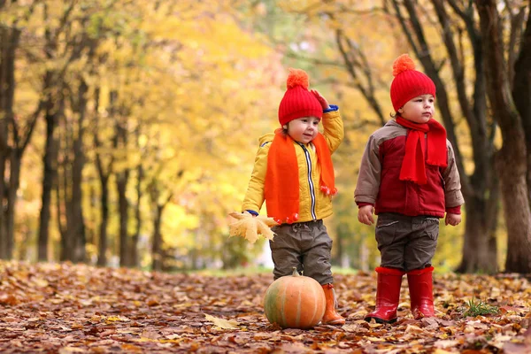 Enfants dans le parc d'automne avec citrouille — Photo