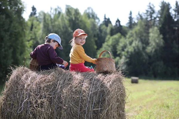 Les enfants vont dans la forêt pour les champignons — Photo