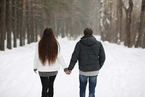 雪吹雪の中での冬の午後の日に恋人たちのペア — ストック写真