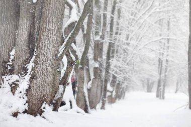 Karla kaplı Kış park ve banklar. Park ve beslenme için pier