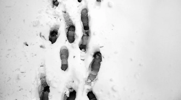 Stopy ve sněhu. Stopy na prvním sněhu. Tiráž — Stock fotografie
