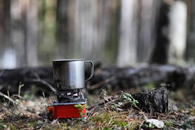 Çam ormanı içinde kar altında baharın başlangıcı. Orman BM