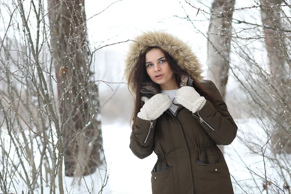 Menina bonita em um belo parque de inverno — Fotografia de Stock