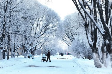karla kaplı bitki kış park Şubesi