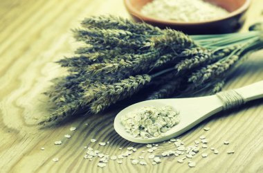 spikelets buğday ve arpa tabak