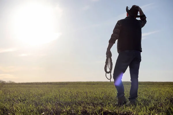 Un sombrero de vaquero y un loso en el campo. Granjero americano en una f — Foto de Stock