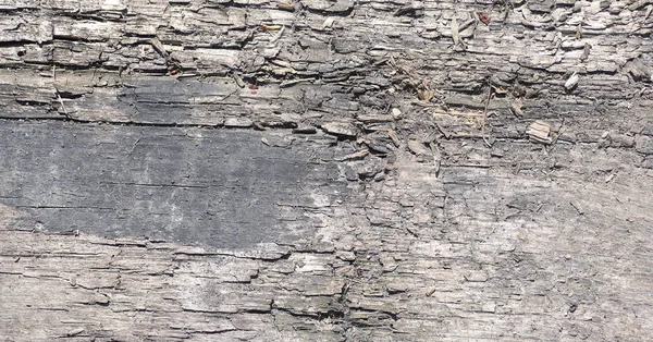 Na pozadí starého dřeva a slámy. Textura pozadí šedé — Stock fotografie