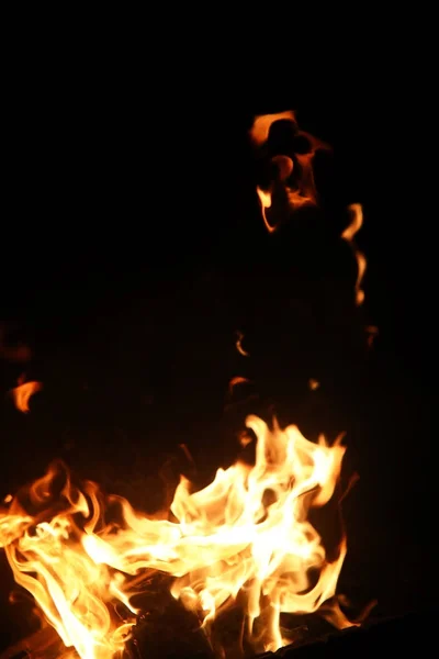 Las lenguas de la llama del fuego del color anaranjado-amarillo del abeto ardiente —  Fotos de Stock