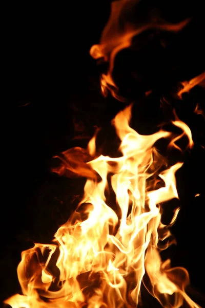 Flammenzungen des Feuers von orange-gelber Farbe von brennender Tanne — Stockfoto