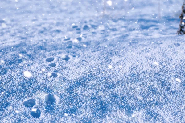 Konsistens av is på vintern. Bitar av fruset vatten på en gata i — Stockfoto