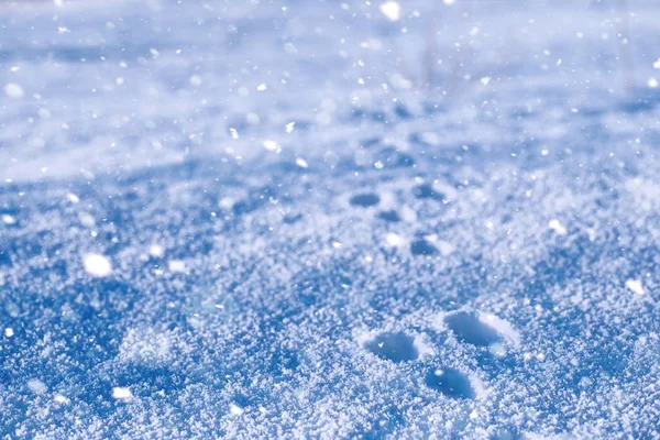 Texture of ice in winter. Pieces of frozen water on a street in — Stock Photo, Image