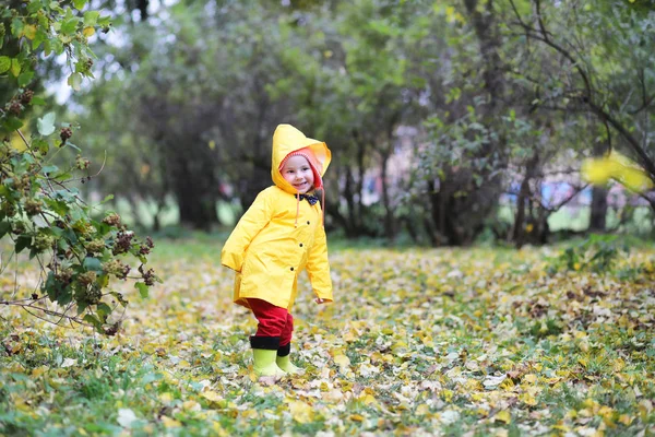 Los niños en el paseo del parque de otoño —  Fotos de Stock